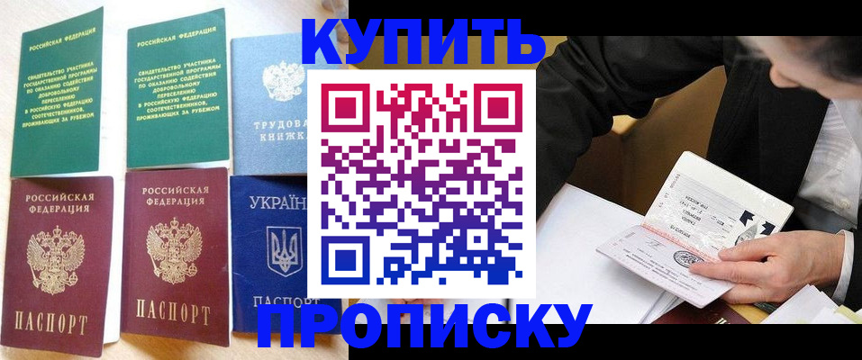 прописка для школы в Порхове